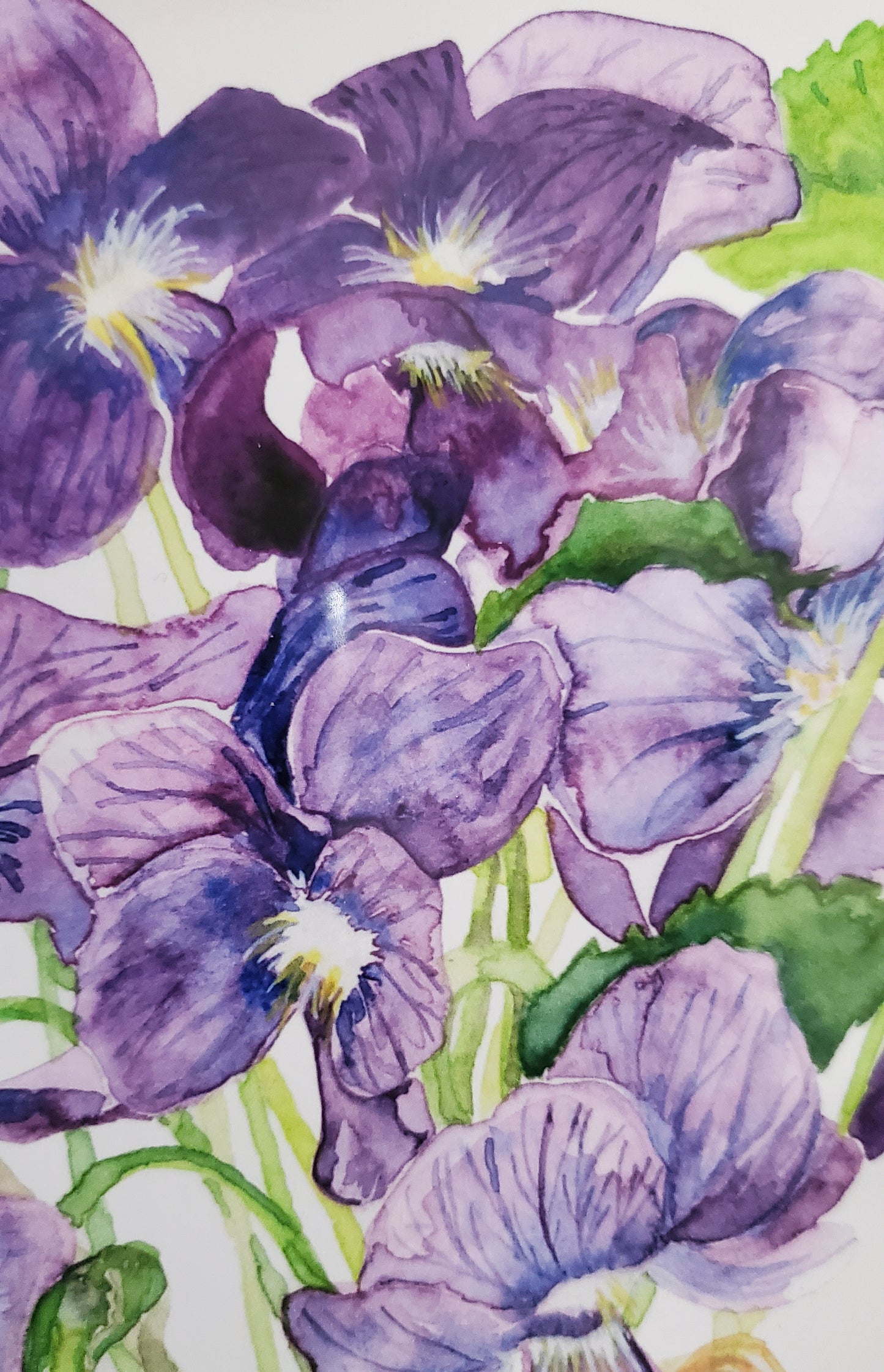 Violets Print