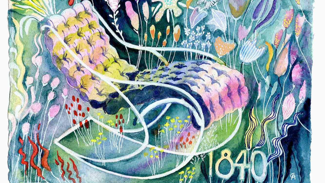 Colorful floral design with the number '1840' on a white background