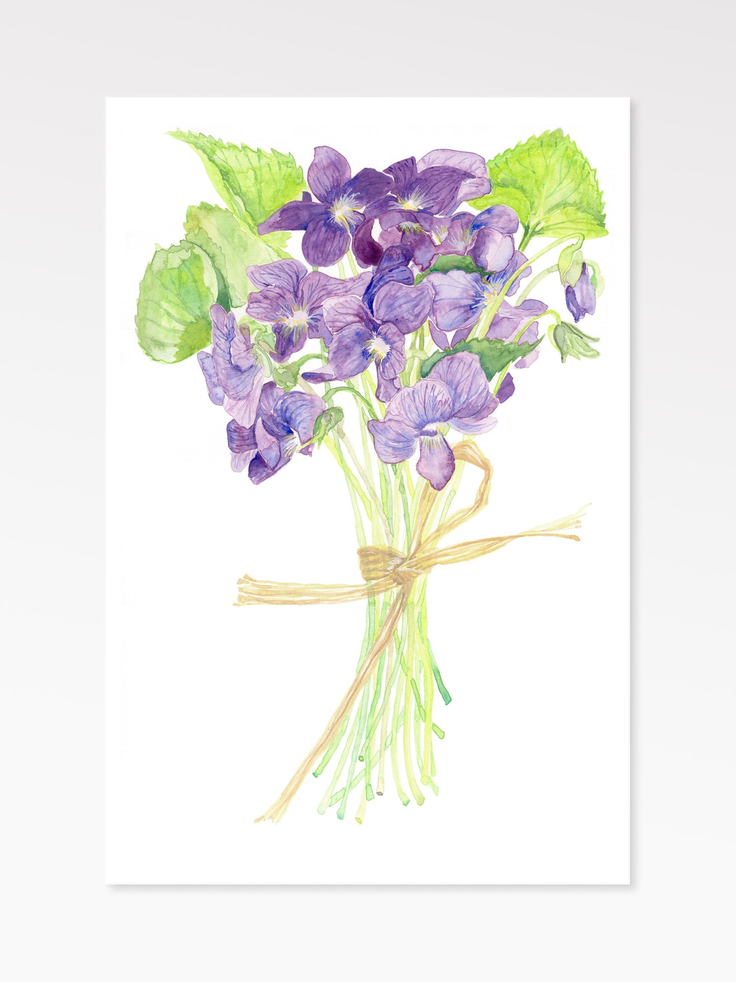Violets Art Print